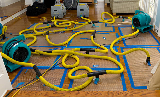 Professional Basement Flood Cleanup technician working in Bethel Park, PA